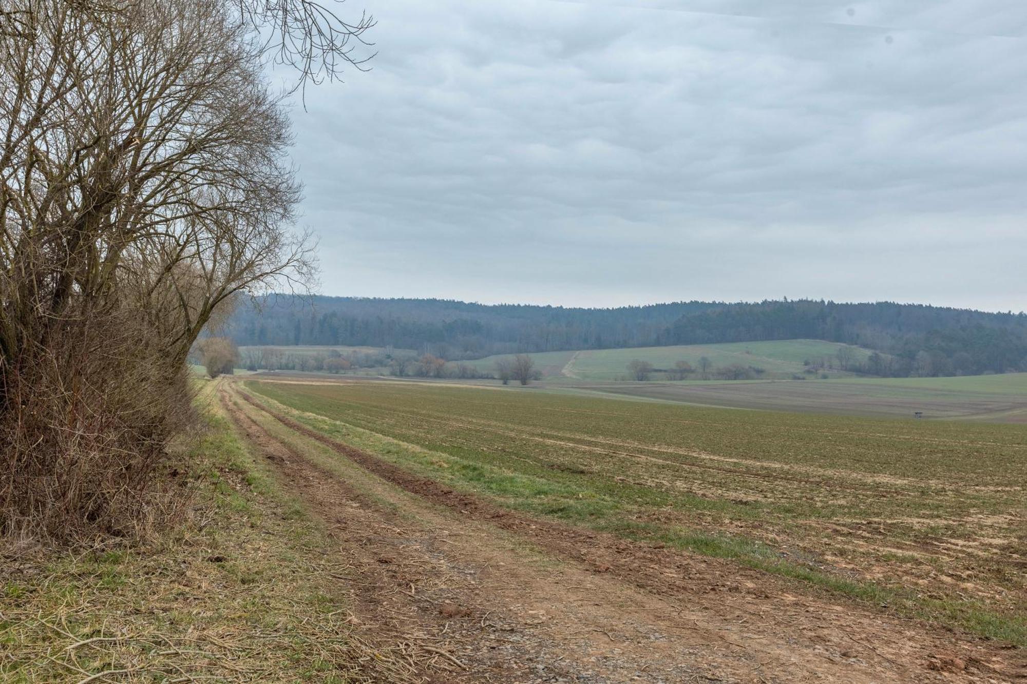 Mittendrin Jesberg Bagian luar foto